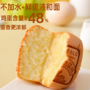 水牛奶蛋糕营养糕点休闲零食